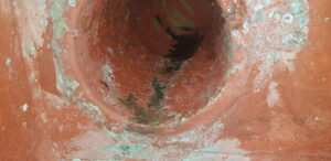 Eco Friendly and Sustainable Antifouling Solutions