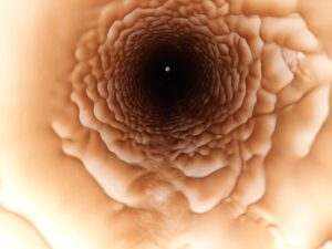 Eco Friendly and Sustainable Antifouling Solutions