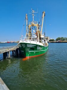 Eco Friendly and Sustainable Antifouling Solutions