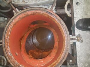 Eco Friendly and Sustainable Antifouling Solutions