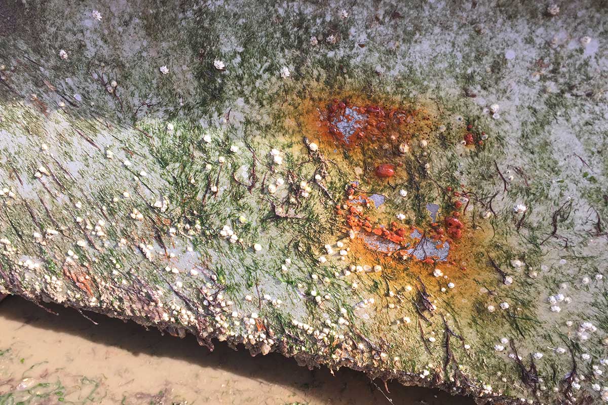 Ultrasonic Anti-Fouling against invasive species