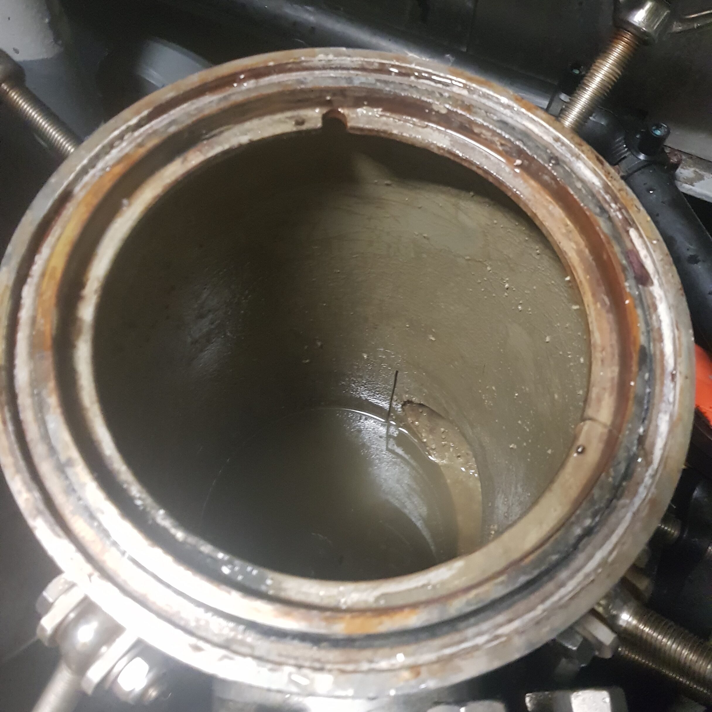 antifouling and biofilm