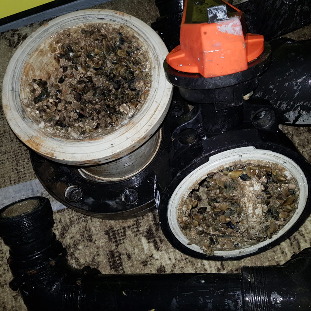 Eco-Friendly and Sustainable Antifouling Solutions